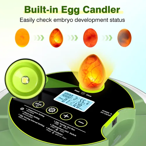 Miniatura 2 de 18 incubadoras de huevos para incubar huevos, incubadora de huevos con control de temperatura, pantalla de humedad, girador automático de huevos