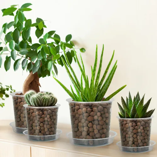 Miniatura 6 de FUIJOL Macetas transparentes de 4 pulgadas para plantas con platillos, paquete de 15, macetas de plástico con agujeros de drenaje, paquete variado