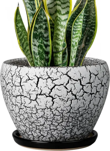 Miniatura 26 de Maceta de Cerámica Moderna con Esmalte para Suculentas con Agujero de Drenaje y Platillo, Maceta Redonda de 6 Pulgadas para Plantas de Flores