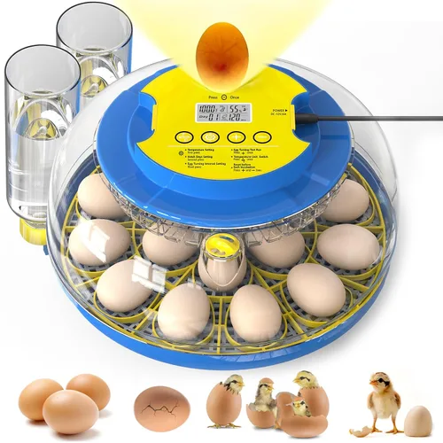 Cieex - Incubadora de 18 huevos para incubar pollo, codornices, patos, loros, gansos con giro automático de huevos y control de humedad, incubadora