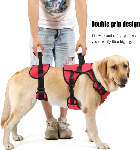 Miniatura 4 de NOYAL Arnés de elevación para perros para mascotas mayores y lesionadas – Cabestrillo de soporte de cuerpo completo con malla transpirable, Rojo 1