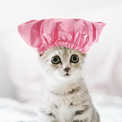 Miniatura 2 de balacoo Gorro de ducha impermeable para mascotas para perros y gatos, gorra de baño ajustable para cachorros con protección para los oídos
