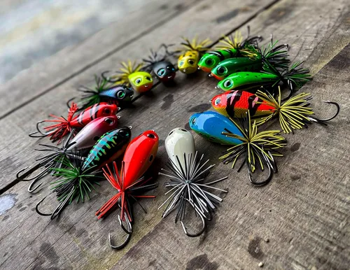 Miniatura 3 de Rapala BXSF5-PBN BX Skitter Frog, 2.2 pulgadas (2.2 in), 0.5 oz (13 g)
