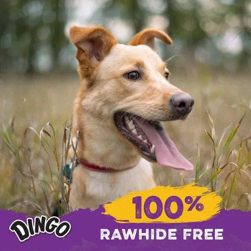 Miniatura 5 de Dingo Porkie Rolls 15 unidades, masticables de piel de cerdo para perros, hechos con pollo real