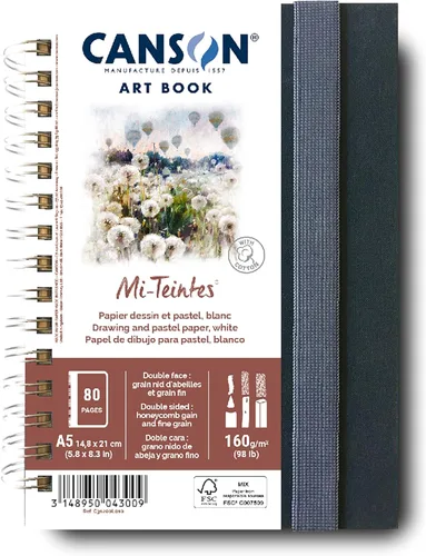 Canson Mi-Teintes - Libro de arte blanco, 5.8 x 8.3 pulgadas, 80 hojas, tapa dura de tela azul, alambre lateral, cuaderno de artista profesional