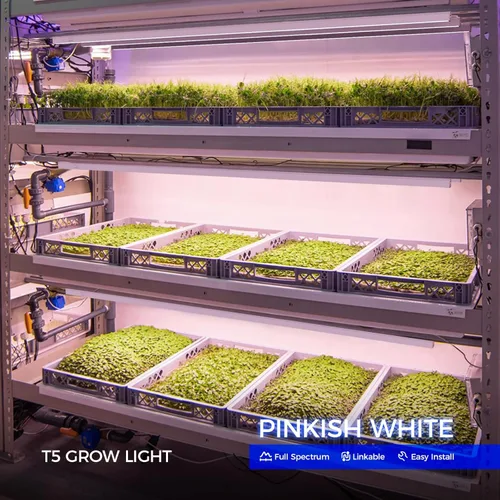 Miniatura 2 de Barrina Luces de crecimiento T5, espectro completo, 4 pies 160 W (8 x 20 W, equivalente a 1000 W), bombillas LED de crecimiento, luces de plantas