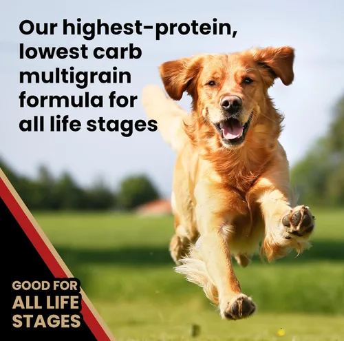 Miniatura 4 de VICTOR Alimento súper premium para perros – Purpose Nutra Pro – Sin gluten, croquetas secas altas en proteínas y bajas en carbohidratos para perros