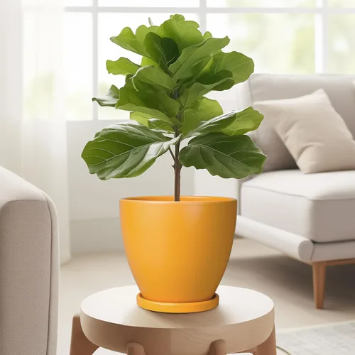 Miniatura 4 de Maceta para Plantas de 6.8 Pulgadas - Maceta de Cerámica con Orificio de Drenaje y Platillo, Maceta Redonda Moderna para Flores, Macetas