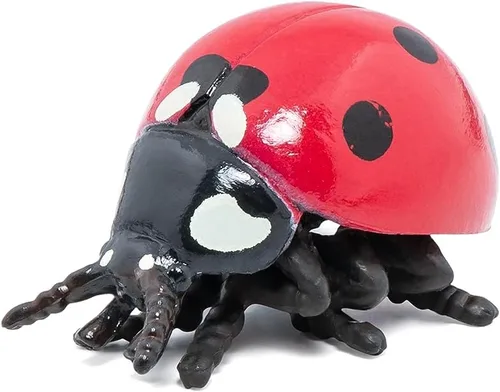 Miniatura 6 de Papo - Figura realista de mariquita - A partir de 3 años - Colección de animales de jardín - Mundo educativo de insectos - Juguete de idea de regalo