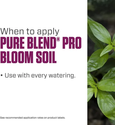 Miniatura 6 de Botanicare Pure Blend Pro Bloom - Suelo nutriente para frutas y flores, 1-4-5, 1 cuarto de galón.