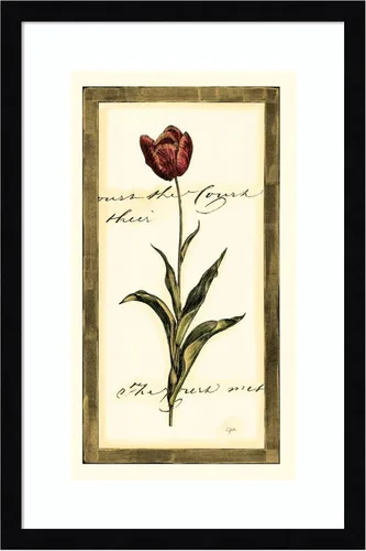 Miniatura 12 de Amanti Art Impresión artística enmarcada para pared, 17 x 25 pulgadas, diseño de tulipán I de Vision Studio, póster enmarcado para decoración