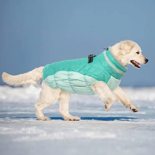 Miniatura 2 de Lelepet Abrigo cálido para perro, abrigo de invierno para perro, chaqueta impermeable para perros con arnés integrado reflectante para mascotas, Neo