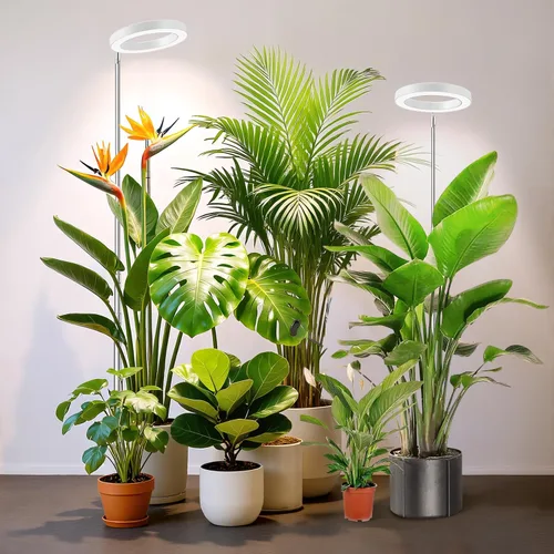 Miniatura 14 de Kullsinss Luces de cultivo para plantas de interior, luces de espectro completo para plantas de cultivo en interiores con temporizador de 6/12/16H