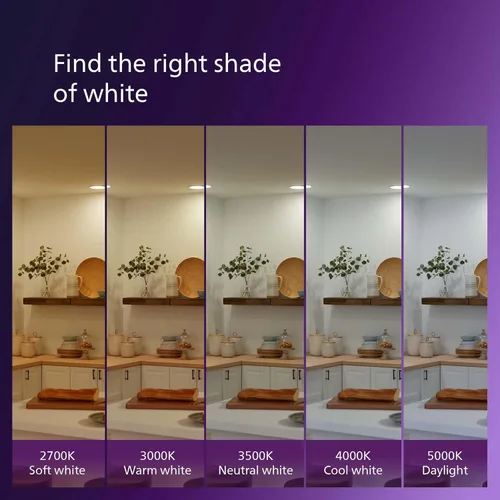 Miniatura 7 de PHILIPS Bombillas LED de 45 W R20, 4 unidades, ultra definición, color blanco suave (2700 K) 450 lúmenes (5.5 W = 45 W), regulables, esmeriladas