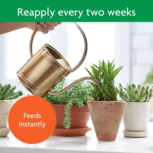 Miniatura 7 de Miracle-Gro Alimento para plantas suculentas, 8 onzas, para suculentas incluyendo cactus, jade y aloe
