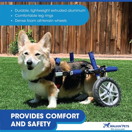 Miniatura 4 de Walkin' Wheels Silla de ruedas Corgi Dog – para perros pequeños Corgi de 11 a 44 libras – Aprobado por veterinarios – Silla de ruedas para perros