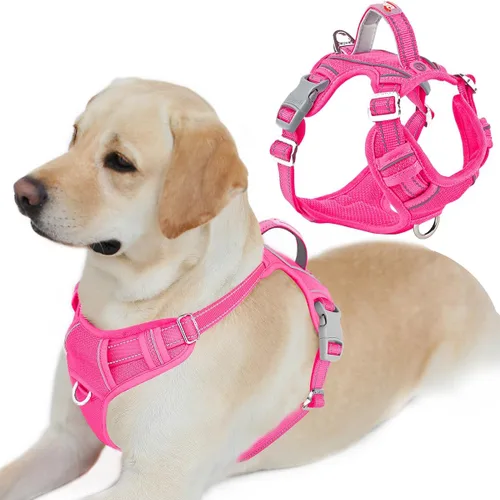 Miniatura 31 de BARKBAY Arnés para perro sin tirones con bolsillo para etiqueta de identificación, resistente, reflectante, fácil control para perros grandes