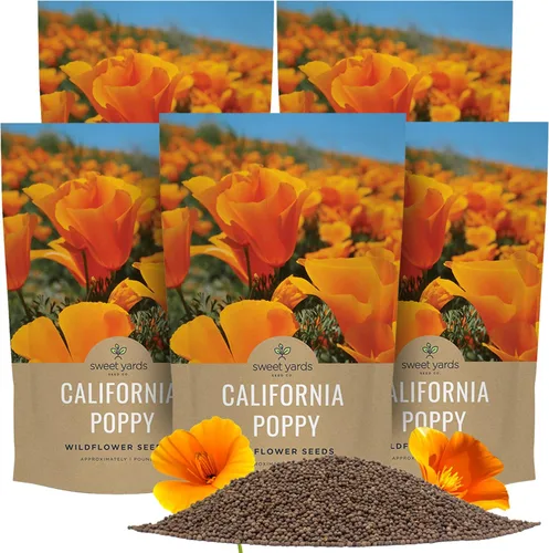 Miniatura 13 de Semillas de flores silvestres de amapola naranja de California, paquete a granel de 1 onza, más de 20,000 semillas nativas, flor del estado