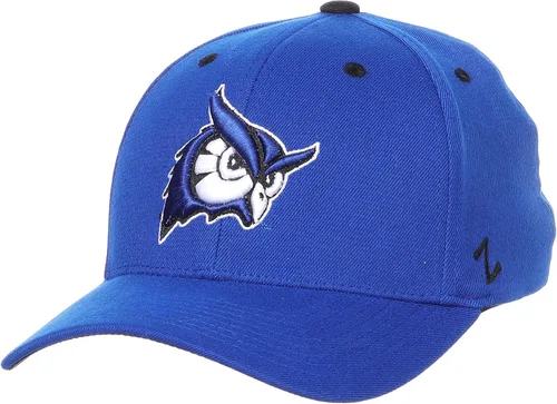 Miniatura 12 de ZHATS - Sombrero ajustado elástico para hombre de la NCAA, color del