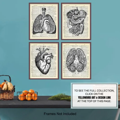 Miniatura 7 de Corazón, pulmones, cerebro, órganos de anatomía intestinal – Diccionario reciclado, impresiones artísticas de pared para clínica médica, oficina