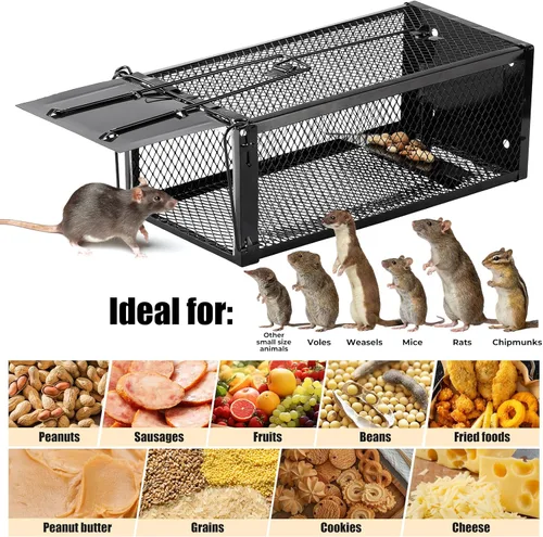 Miniatura 5 de Paquete de 2 trampas humanas para ratas de 12.5 x 5.5 x 4.5 pulgadas, trampas reutilizables para uso en interiores y exteriores, captura en vivo sin