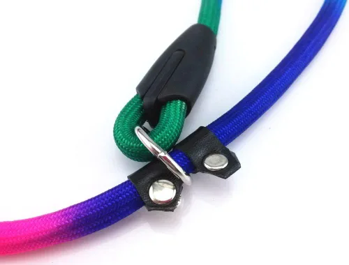Miniatura 4 de yueton Correa de nailon para perros Rainbow Pet Cuerda de plomo ajustable