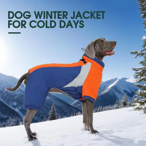 Miniatura 6 de Kuoser - Abrigo completo para perro - Abrigo cálido de invierno con chaqueta reflectante y arnés incorporado, adecuado para perros pequeños como Azul