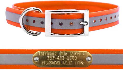 Outdoor Dog Supply Collar de perro con anillo en D impermeable reflectante resistente de 1 pulgada para perros medianos y grandes con placa de