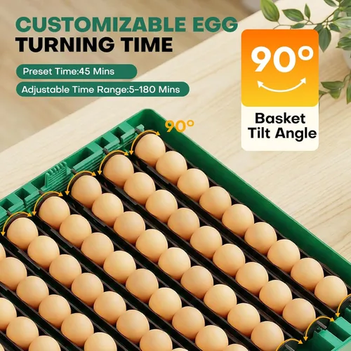Miniatura 5 de Incubadoras para incubar huevos, incubadora de 72 huevos con girador automático de huevos y control de humedad y temperatura digital, visión clara