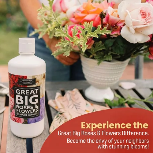 Miniatura 6 de Great Big Roses - Potenciador de fertilizante de suelo y rosas para cultivar las mejores rosas y flores; extracto de compost de alimento para rosas
