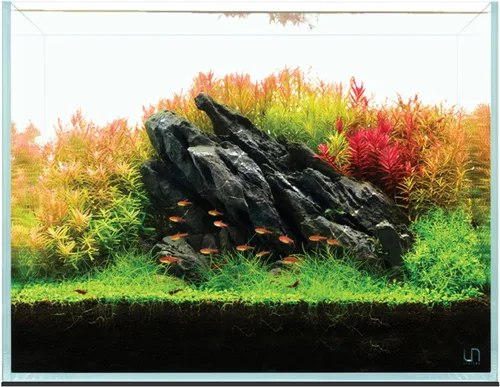 UNS Acuario Ultra Claro Sin Borde - 25.6GAL | 97.2L - 23.62x14.17x17.71 | 60x36x45 CM, Grosor de Vidrio de 6mm, Incluye Alfombrilla Nivelante -