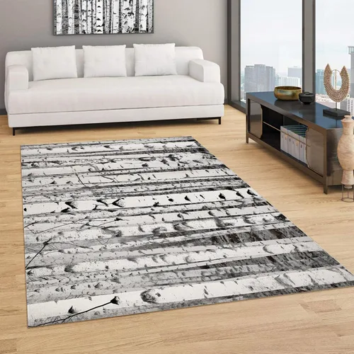 Miniatura 2 de Rugs - Alfombra mullida para sala de estar, 23.6 x 35.4 in, con textura de tronco de abedul, para dormitorio, lavable a máquina, alfombra gruesa