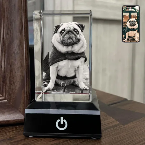 Foto de cristal 3D personalizada, regalos conmemorativos para perros y gatos personalizados para dueños de mascotas. Caja de regalo incluida, foto