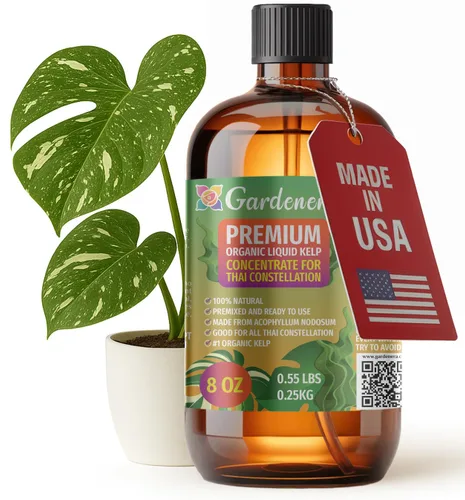 Miniatura 65 de GARDENERA Superalimento orgánico prémium de algas marinas y algas marinas para plantas AGLAONEMA, 8 onzas, concentrado de fertilizante líquido
