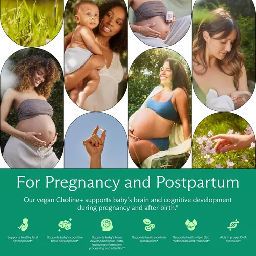 Miniatura 4 de Needed. Cápsulas líquidas de colina prenatal + para el desarrollo cognitivo, suplementos de colina para el embarazo, ayuda al desarrollo del cerebro