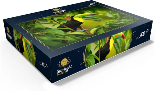 Miniatura 3 de MyPuzzle Costa Rica Wildlife - Tucán sentado en la rama en el bosque - Rompecabezas premium de 100 piezas para adultos
