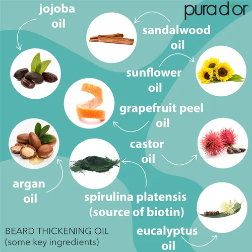 Miniatura 4 de PURA D'OR Aceite de barba espesante de 4 onzas – Mezcla hidratante con romero, biotina y aceite de ricino – Aumenta la humedad, el grosor
