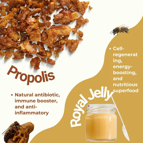 Miniatura 3 de Suplemento de apoyo del sistema inmunitario – Mezcla natural de propóleos, jalea real, equinácea y vitamina C – Mejora la salud a base de plantas 90