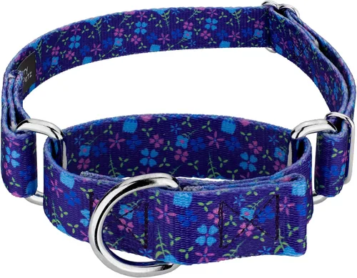 Country Brook Petz - Collar de perro Martingale, collar de entrenamiento resistente, colección floral vibrante con diseños encantadores, campos de