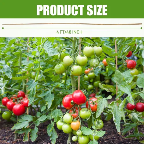 Miniatura 2 de Suzile 60 estacas de bambú a granel, estacas naturales para plantas de bambú para jardín, soporta escalada para tomates, frijoles, vegetales