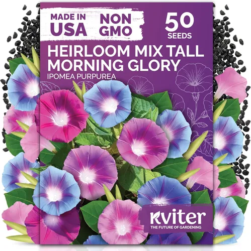 Miniatura 16 de KVITER 25 semillas de algodón blanco para plantar (Gossypium hirsutum) – Planta de algodón real, semillas de algodón para cultivo, semillas