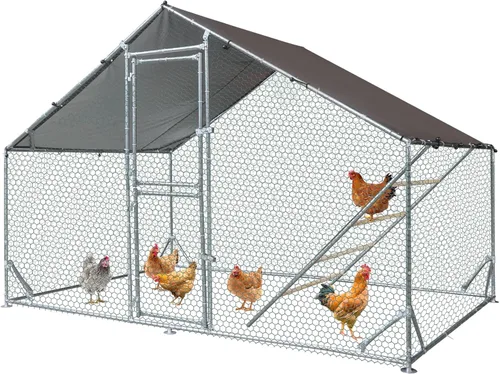 Gallinero grande de metal con cubierta impermeable, jaula para aves de corral para caminar al aire libre con perca de gallo, corralito para