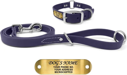 Miniatura 23 de Regal Dog Products Collar de Perro Naranja Mediano con Placa de Nombre Grabada Personalizada - Ajuste Personalizado, Resistente, Fácil de Limpiar