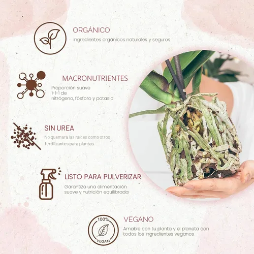 Miniatura 3 de Rocío de Alimento para Orquídeas Orgánico Listo para Rociar - Fertilizante Potenciador de Floración para Orquídeas en Macetas - Nutrientes Vegetales