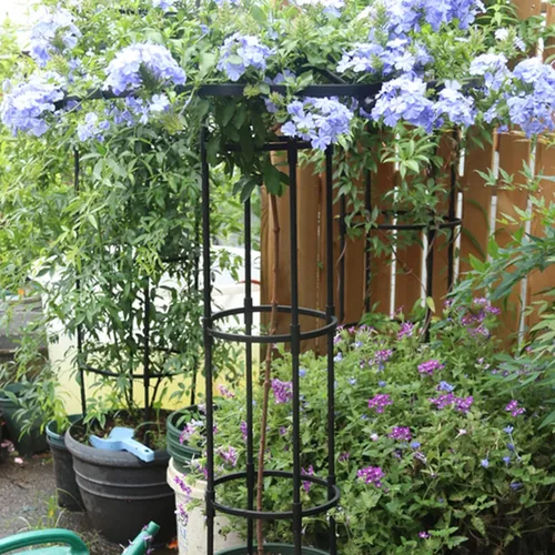 Miniatura 6 de Enrejado de obelisco de jardín para plantas trepadoras, enrejado de exterior e interior para plantas en maceta, paraguas vertical de metal