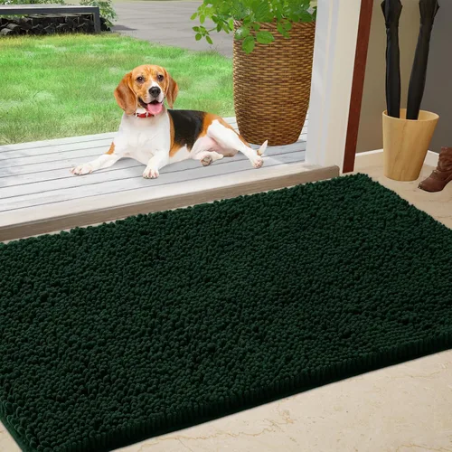 IM HOME Tapete absorbente de felpilla para exteriores, 30 x 20 pulgadas, lavable, tapete para puerta de perro, antideslizante, tapete para Verde