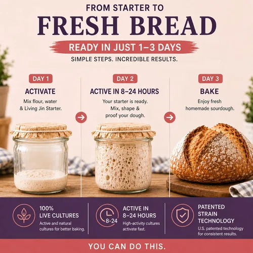 Miniatura 3 de Cultivo básico de masa madre (1 paquete), cultivo básico de masa madre sin gluten, listo para usar, iniciador de masa agria con alimentación única