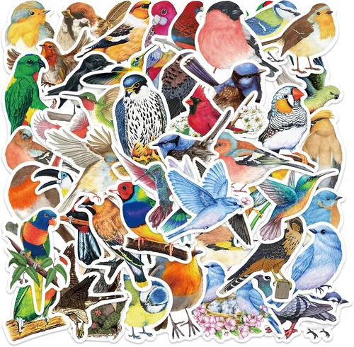 100 calcomanías de pájaros, vinilo impermeable para botellas de agua, laptop, cuaderno, álbum de recortes, equipaje, teléfono celular, monopatín,