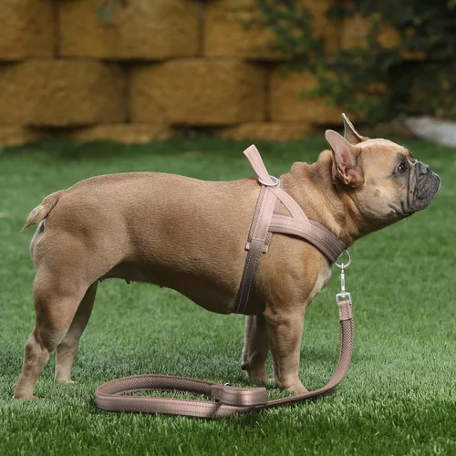 Miniatura 5 de Plutus Pet Arnés sin tirones para perro, con acolchado de malla transpirable, arnés reflectante ajustable a prueba de escapes, arnés de chaleco