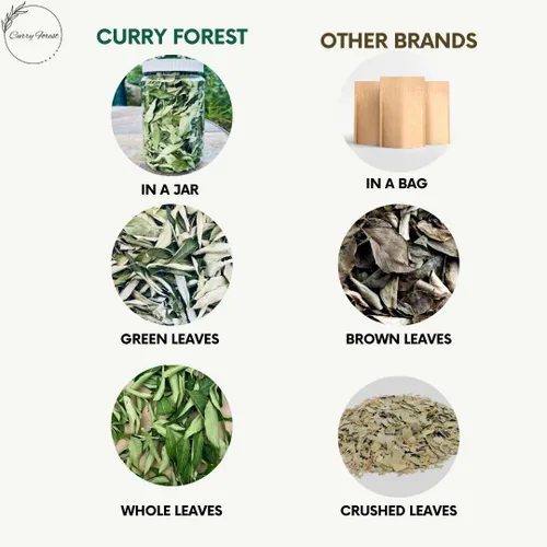 Miniatura 4 de CurryForest Hojas de curry secas de primera calidad, 100% naturales, sin pesticidas, cultivadas en Estados Unidos, secado al aire, 0.35-0.53 oz
